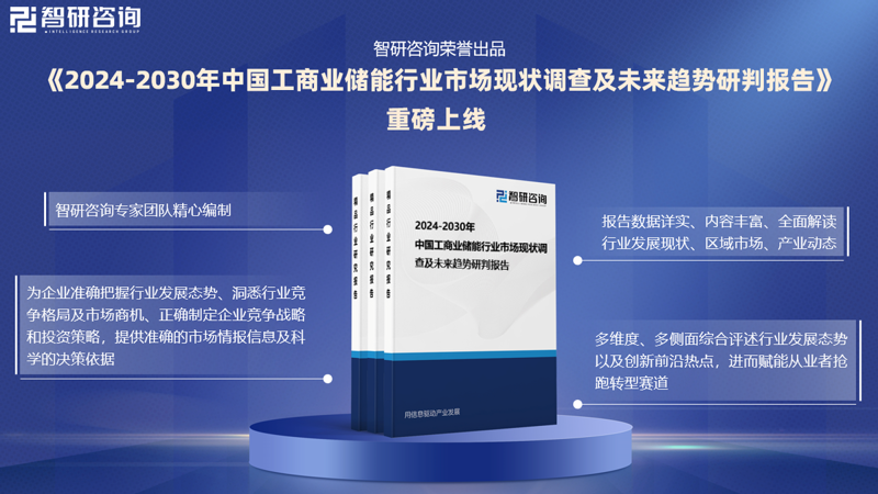 洞察未来：上海信息咨询服务行业发展动态